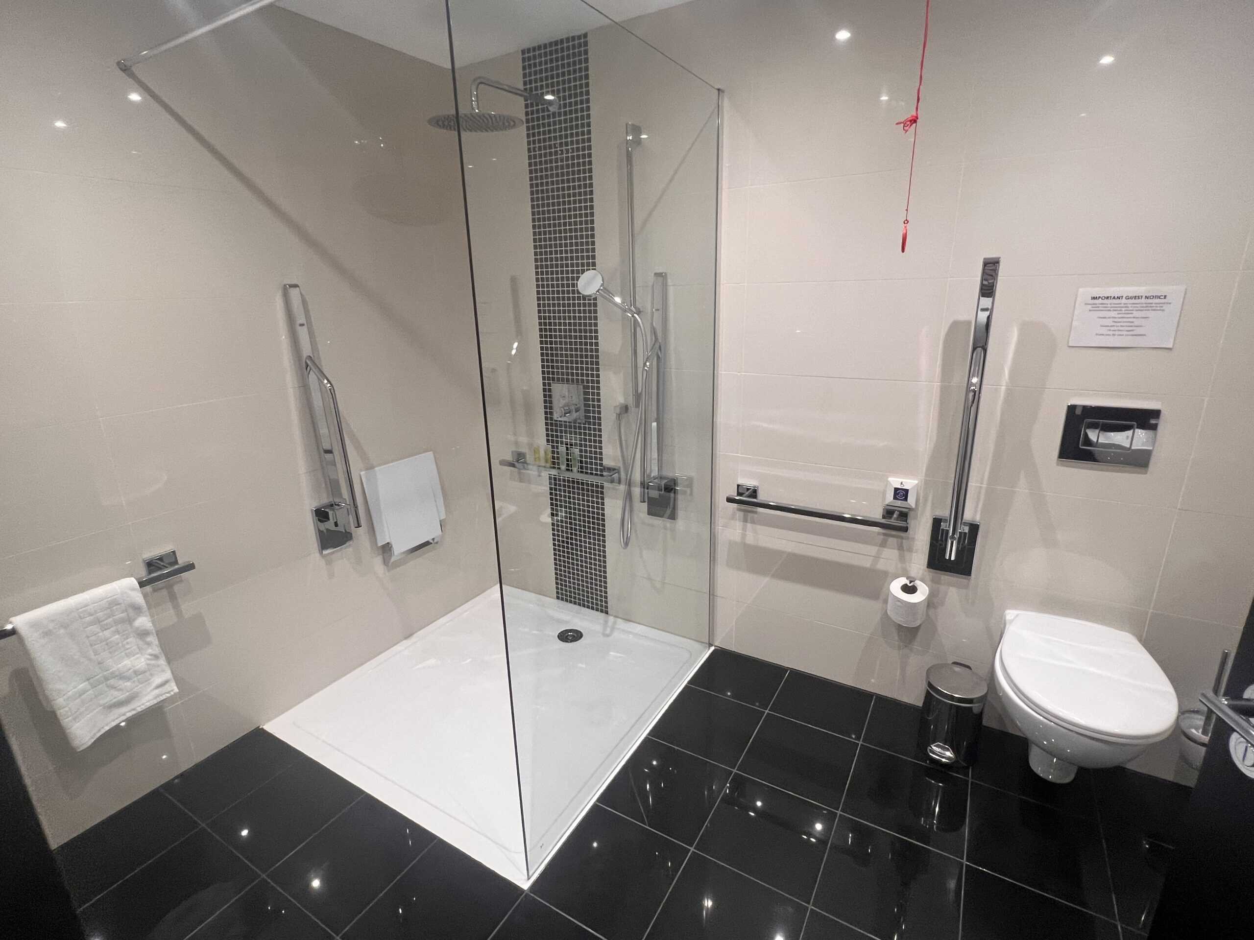 A modern, accessible bathroom features a glass-enclosed shower with assistive grab bars, a rainfall showerhead, and a handheld showerhead. The toilet area includes wall-mounted support bars, a toilet paper holder, and a small waste bin. Floors have black tiles.