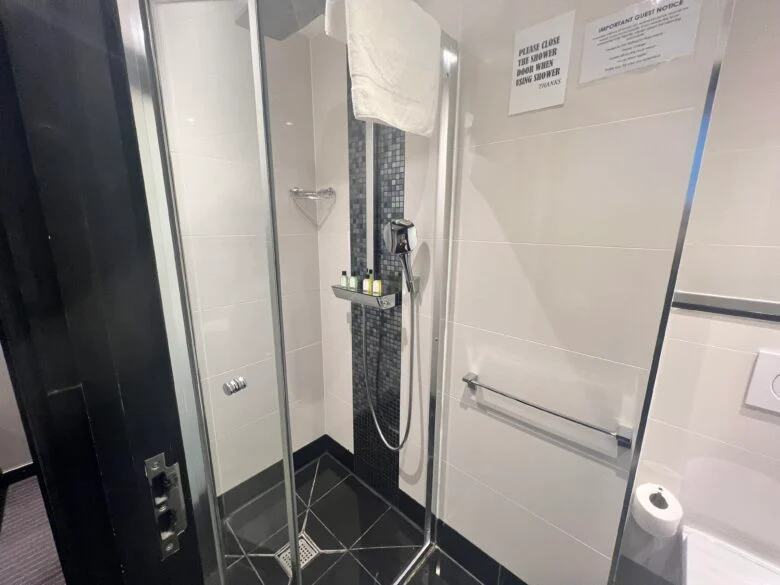 A modern bathroom features a glass shower enclosure with a rainfall showerhead and a smaller handheld showerhead. There are toiletries on a built-in shelf and a folded towel hanging on the shower door. A towel bar and a toilet paper holder are mounted on the wall outside the shower.